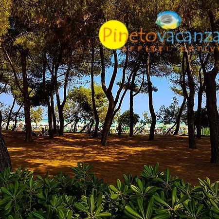 Myconos C2 - Pineto Vacanza Екстериор снимка