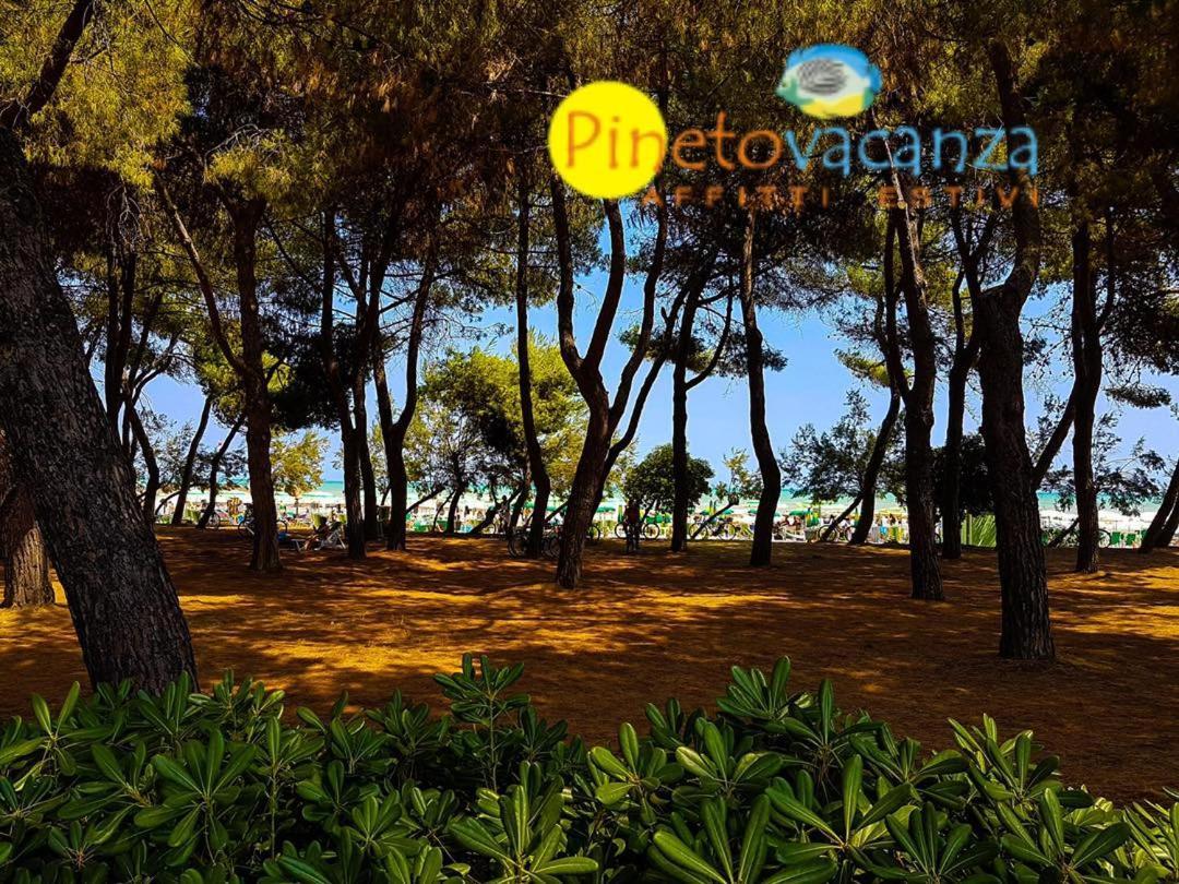 Myconos C2 - Pineto Vacanza Екстериор снимка